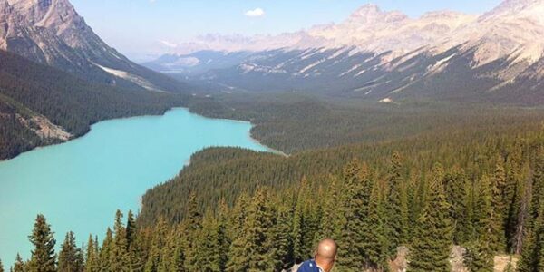 Peyto Lake during the Banff Jasper Explorer Tour