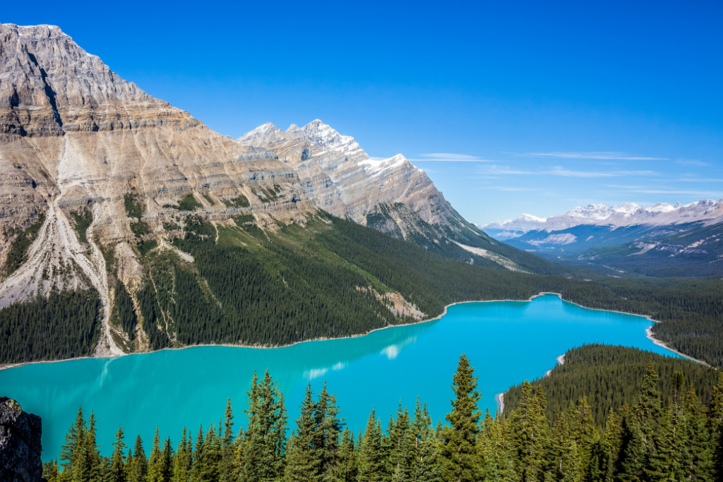 Stand high above the incredible Peyto Lake from the iconic view point