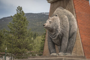 Revelstoke's famous flattened bear sculpture