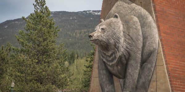 Revelstoke's famous flattened bear sculpture | Rocky Mountains BC