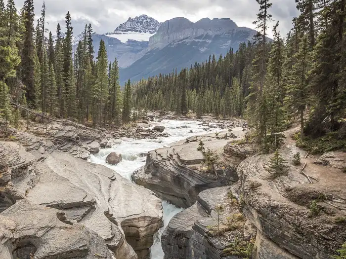 Athabasca Falls cascading through a rugged canyon, surrounded by dense pine forests and snow-capped mountains in Jasper National Park. | Moose Travel Network | Canadian Rocky Mountain Tour