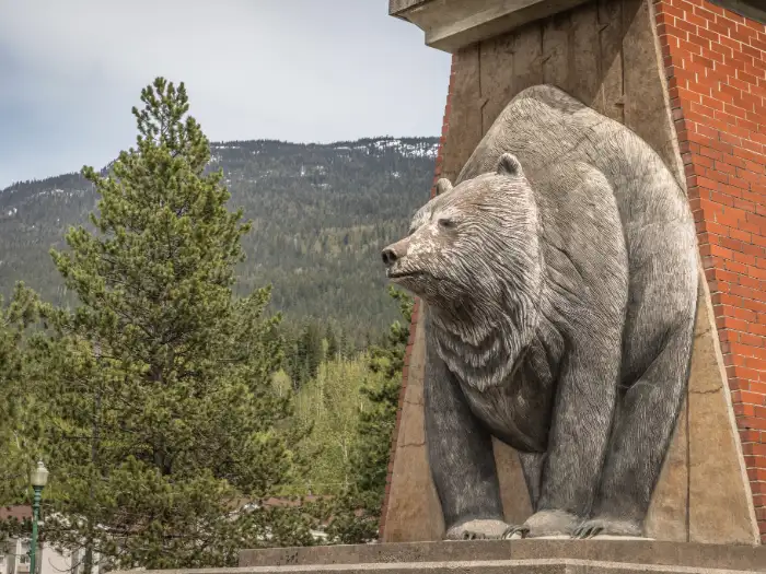 Revelstoke village stop on Banff to Vancouver tour | Rockies Adventure Tours