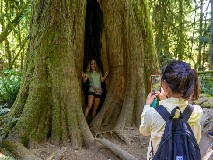 Tofino-Cathedral-Grove-Girl-inside-tree Tofino-Cathedral-Grove-Girl-inside-tree