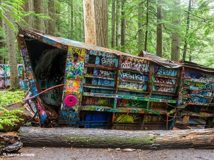 ©Lisanne_Smeele_Whistler-1